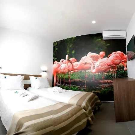 Hotel Paradise Algarve *